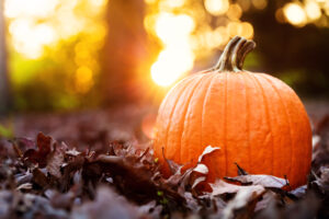 Pumpkin Patch Inlet CDC